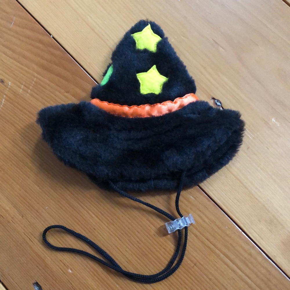 Zanie’s Cat Halloween Witch Hat